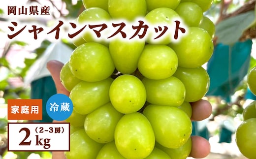 【家庭用】2026年9月発送 岡山県産 シャインマスカット 2kg