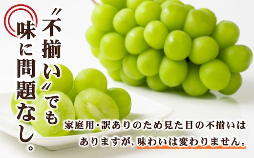 訳あり】2026年9月発送 岡山県産 シャインマスカット 2kg | d