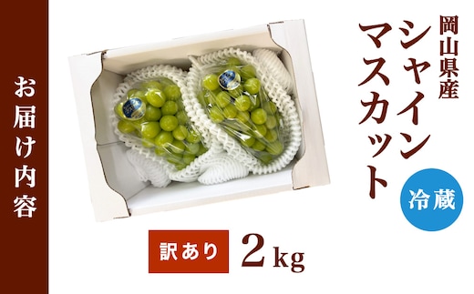 訳あり】2026年9月発送 岡山県産 シャインマスカット 2kg | d