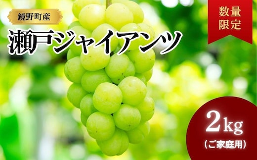 【期間限定】鏡野町産 瀬戸ジャイアンツ 2kg（ご家庭用）【004-a028】