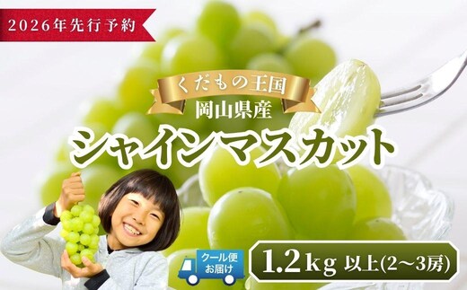【2026年発送分 先行予約】岡山県産 シャインマスカット 1.2kg以上（2～3房）【ご家庭用】【025-a035】