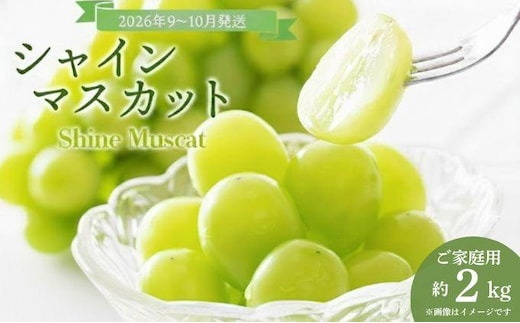 ＜2026年発送分 先行予約＞9～10月発送ご家庭用シャインマスカット2Kg箱【029-a013】