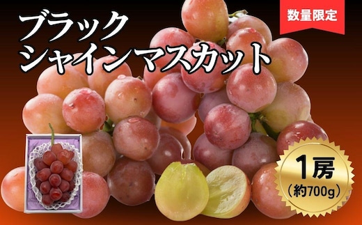 ブラックシャインマスカット1房（700ｇ）