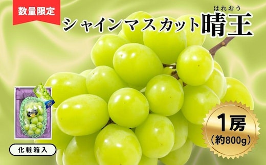 シャインマスカット晴王1房（約800ｇ）化粧箱入【040-a020】