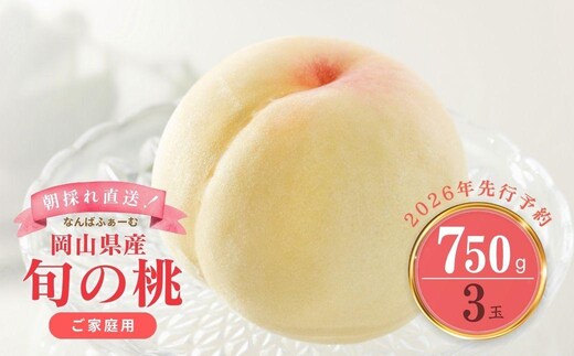 ＜数量限定＞［なんばふぁーむ］岡山県産 旬の桃 750g（3玉）［ご家庭用］【2026年発送】【039-a011】