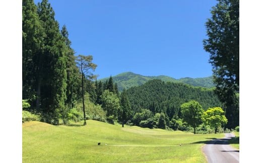 ＜9,000円分＞ 奥津ゴルフ俱楽部 施設利用券 1,000円券×9枚【017-a006】