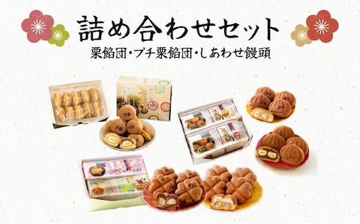 栗餡団・２種類セット＋しあわせ饅頭・2種類セット＋プチ栗餡団10入個箱【010-a020】