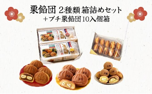 栗餡団・２種類箱詰めセット＋プチ栗餡団10入個箱【010-a018】