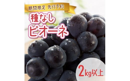 【期間限定】鏡野町産 ピオーネ 2kg（3～4房） 004-a005