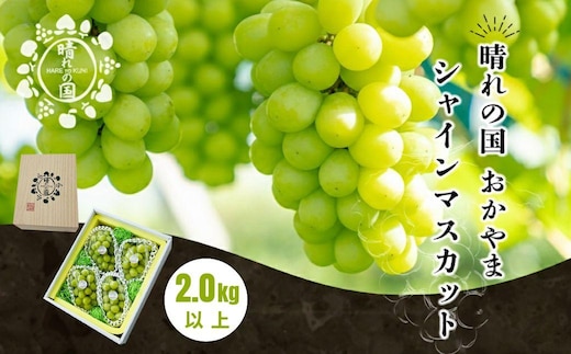 【先行予約 秋季 2026年9月上旬発送～】岡山県産シャインマスカット 2.0kg（3～4房）【021-a021】