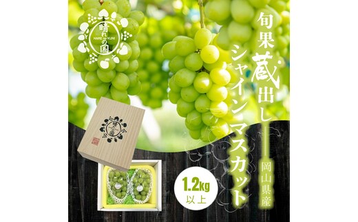 【先行予約 2025年12月上旬～2026年1月発送】旬果蔵出し 岡山県産シャインマスカット 1.2kg以上（2～3房）