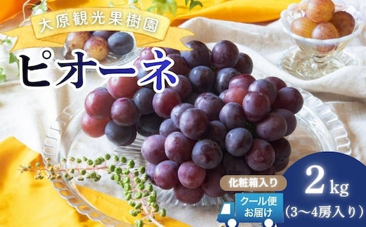 【2026年先行予約】［大原観光果樹園］ピオーネ 3～4房（約2kg）化粧箱入り【026-a013】