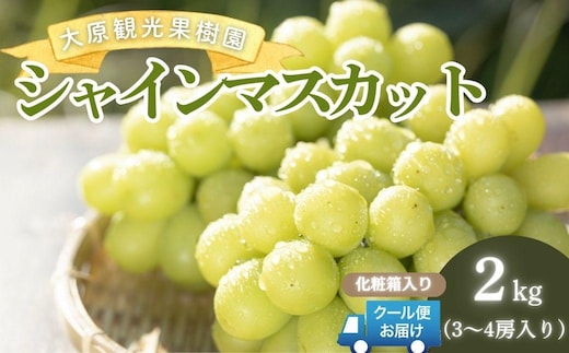 【2026年先行予約】［大原観光果樹園］シャインマスカット 3～4房（約2kg）化粧箱入り【026-a015】