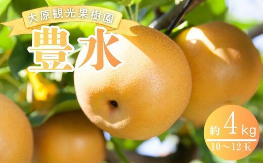 【2026年先行予約】［大原観光果樹園］岡山県産 旬の梨（豊水）（約4kg 10～12玉）【026-a022】
