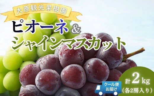 【2026年先行予約】［大原観光果樹園］ピオーネ2房とシャインマスカット2房（計4房 約2kg）【026-a018】