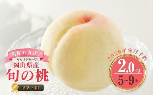 ＜数量限定＞［なんばふぁーむ］岡山県産 旬の桃 2.0kg（5～9玉）[ギフト用]【2026年発送】039-a004