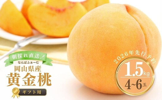 【2026年先行予約】［なんばふぁーむ］岡山県産 黄金桃 1.5kg（4～6玉）[ギフト用]桃 もも モモ おうごんとう フルーツ 果物 朝採り旬 岡山県産 産地直送 産直 送料無料 鏡野町桃 もも モモ はくとう おうごんとう フルーツ 果物 贈答 贈答用 ギフト 朝採り旬 岡山県産 鏡野町桃