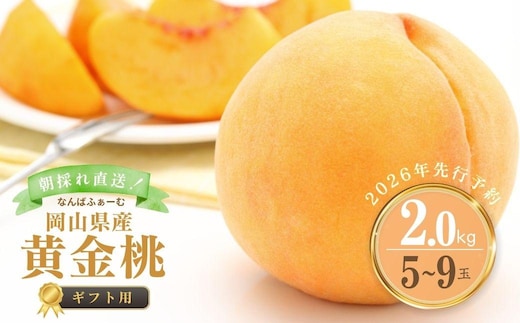 【2026年先行予約】［なんばふぁーむ］岡山県産 黄金桃 2.0kg（5～9玉）[ギフト用]桃 もも モモ おうごんとう フルーツ 果物 贈答 贈答用 ギフト 朝採り旬 岡山県産 産地直送 産直 送料無料 鏡野町