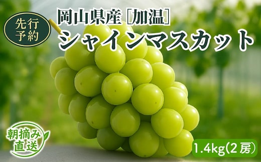 【2026年先行予約】［加温］岡山県産シャインマスカット 1.4kg（２房入）