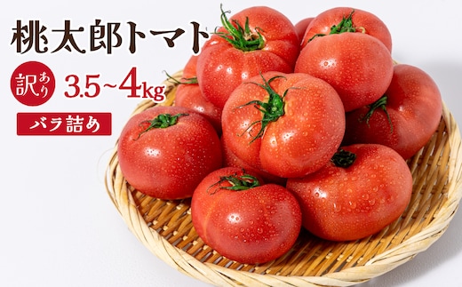 桃太郎トマト［規格外］ 3.5kg～4kg バラ詰め｜桃太郎トマト トマト とまと 訳アリ 規格外 国産 野菜 夏野菜 新鮮 高糖度 岡山県 鏡野町