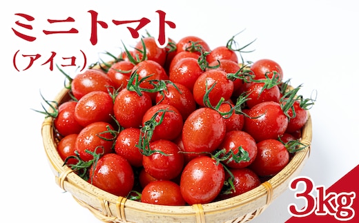 ミニトマト（アイコ） 3kg Mサイズバラ詰め｜ミニトマト トマト とまと アイコ 国産 野菜 夏野菜 新鮮 高糖度 Mサイズ 3kg 岡山県 鏡野町