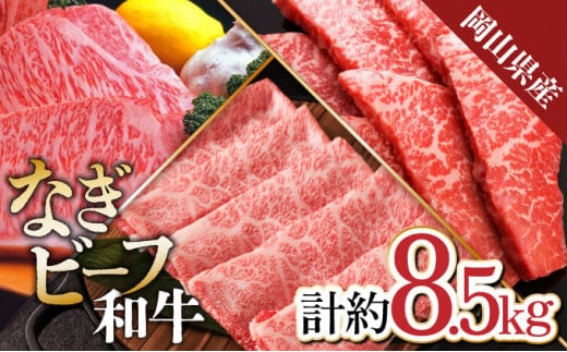 合計8.5kg!【なぎビーフ】 ロース ステーキ用ブロック約5kg 肩ローススライス約2kg モモバラ焼肉約1.5kg 黒毛和牛 牛肉 小分け 冷凍