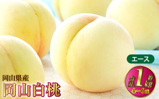 岡山白桃 エース 4~6玉 約1kg 岡山県産【2026年7月上旬~8月下旬発送予定】 白桃 桃 もも モモ