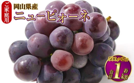ご家庭用 岡山県産 ニューピオーネ 約1kg(500g×2房) 【2026年8月下旬~9月下旬迄発送予定】 果物 くだもの フルーツ ぶどう ブドウ 葡萄