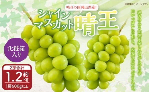 岡山県産 シャインマスカット 『晴王』 2房 (1房600g以上) 化粧箱入り 【2026年8月下旬~10月上旬迄発送予定】 果物 くだもの フルーツ ぶどう ブドウ 葡萄 マスカット 岡山 おかやま 国産 冷蔵
