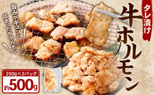 タレ漬け 牛ホルモン 250g×2パック (計500g) 牛肉 牛 お肉 肉 たれ タレ ホルモン 焼き肉 焼肉 小分け 冷凍
