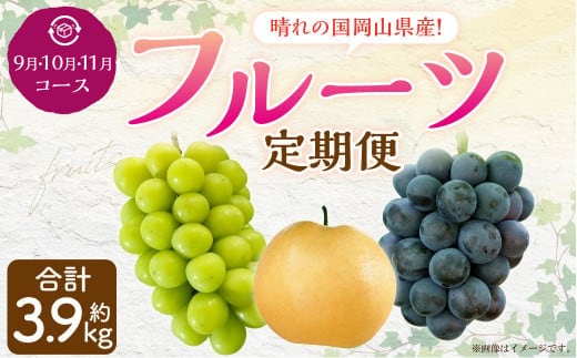 【3回定期便】岡山県産 フルーツ定期便コース (ニューピオーネ・ 晴王・あたご梨) 計約3.9kg 【2026年9月上旬発送開始】 ニューピオーネ シャインマスカット 晴王 ぶどう 葡萄 マスカット あたご 梨 なし フルーツ 果物 くだもの 岡山