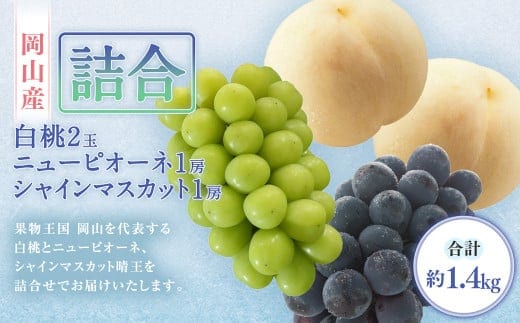 詰合/ 白桃 2玉(1玉220g以上)・ ニューピオーネ 1房(480g以上)・ シャインマスカット 1房( 晴王 ・480g以上) 合計約1.2kg以上 化粧箱入り 【2026年7月下旬~8月上旬迄発送予定】 桃 もも 葡萄 ブドウ ぶどう フルーツ 果物 ギフト 国産 岡山県産