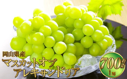 岡山県産 マスカット・オブ・アレキサンドリア 約700g(1房) 果物 フルーツ くだもの ぶどう ブドウ 葡萄 マスカット 冷蔵 国産 奈義町 【2026年6月下旬~7月下旬発送予定】