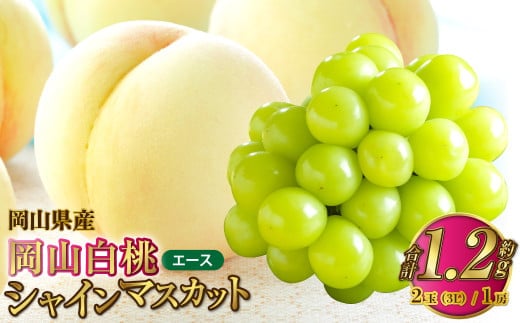 岡山県産 岡山白桃 エース 3Lサイズ 約300g×2玉・シャインマスカット 晴王 約600g×1房 詰合せ 【2026年7月上旬~8月下旬発送予定】 白桃 桃 もも モモ マスカット ぶどう 葡萄 ブドウ セット