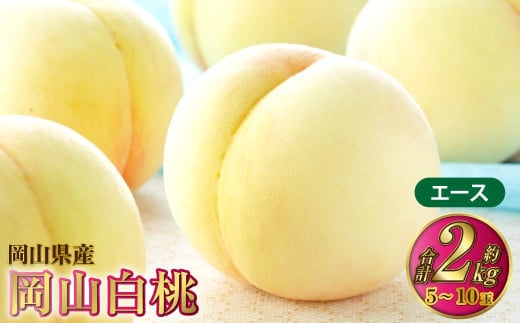 岡山白桃 エース 5~10玉 約2kg 岡山県産【2026年7月上旬~8月下旬発送予定】 白桃 桃 もも モモ