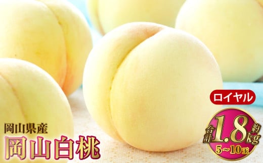 岡山白桃 ロイヤル 5~10玉 約1.8kg 岡山県産【2026年7月上旬~8月下旬発送予定】 白桃 桃 もも モモ
