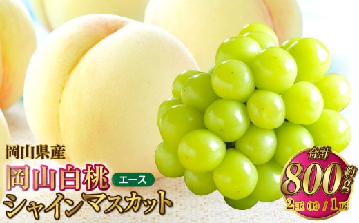 岡山県産 岡山白桃 エース Lサイズ 約200g×2玉・シャインマスカット 晴王 約400g×1房 詰合せ 【2026年7月上旬~8月下旬発送予定】 白桃 桃 もも モモ マスカット ぶどう 葡萄 ブドウ セット