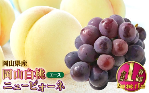 岡山県産 岡山白桃 エース 2Lサイズ 約250g×2玉・ニューピオーネ 約500g×1房 詰合せ 【2026年7月上旬~8月下旬発送予定】 白桃 桃 もも モモ ピオーネ ぶどう 葡萄 ブドウ セット