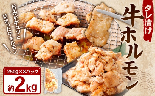 タレ漬け 牛ホルモン 2.0kg (250g×8パック) 牛肉 牛 お肉 肉 たれ タレ ホルモン 焼き肉 焼肉 小分け 冷凍