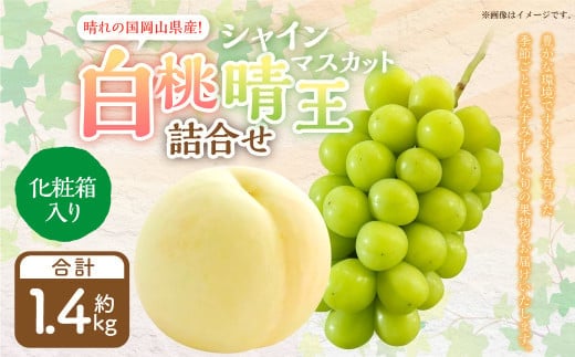 詰合 白桃 2玉 (1玉220g以上) シャインマスカット晴王 2房 (1房480g以上) 化粧箱入り 【2026年7月下旬~8月上旬迄発送予定】 果物 くだもの フルーツ 桃 もも モモ ぶどう ブドウ 葡萄 マスカット 詰合せ 詰め合わせ 岡山 おかやま 国産 冷蔵