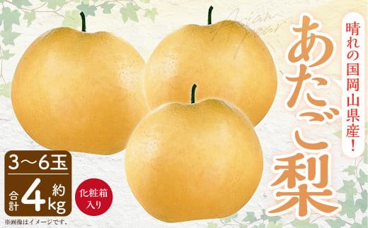 岡山県産 あたご梨 3-6玉 (約4kg) 化粧箱入り 【2026年11月下旬~12月下旬発送予定】 果物 くだもの フルーツ 梨 なし 贈答 ギフト 岡山 大玉