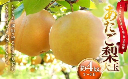 あたご梨 約4kg ( 3~6玉 ) 梨 贈答 くだもの 果物 果実 フルーツ なし ナシ あたご 贈答品 大玉梨 完熟 【 2026年11月下旬~12月下旬発送予定 】