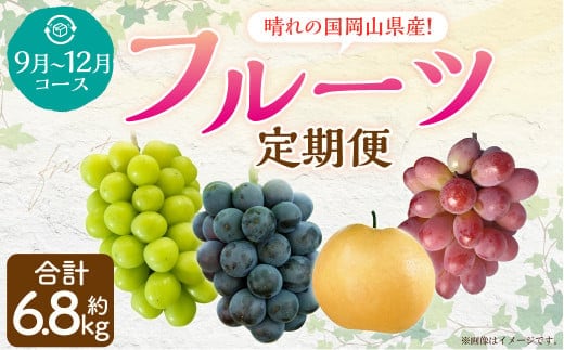 【4回定期便】 岡山県産 フルーツ定期便コース 計約6.8kg 【2026年9月上旬発送開始】 ニューピオーネ 瀬戸ジャイアンツ シャインマスカット 晴王 マスカット ぶどう 葡萄 紫苑 あたご 梨 なし フルーツ 果物 くだもの 岡山