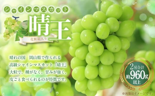 シャインマスカット 晴王 2房(1房480g以上) 計960g以上 化粧箱入り 【2026年8月下旬~11月上旬迄発送予定】 ぶどう ブドウ 葡萄 マスカット 種なし 果物 くだもの フルーツ 冷蔵 国産