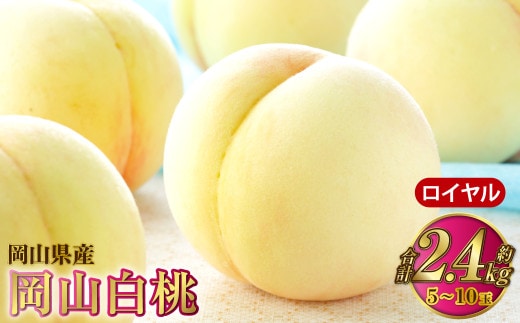 岡山白桃 ロイヤル 5~10玉 約2.4kg 岡山県産【2026年7月上旬~8月下旬発送予定】 白桃 桃 もも モモ