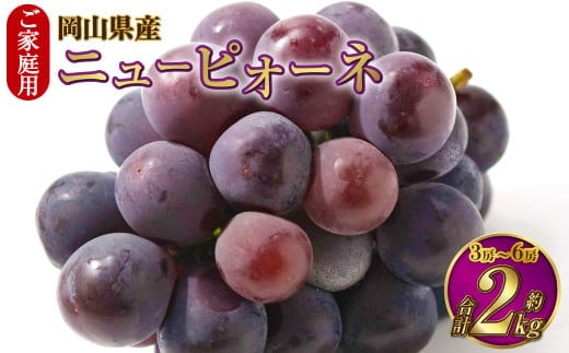 ご家庭用 岡山県産 ニューピオーネ 約2kg(3房~6房) 【2026年8月下旬~9月下旬迄発送予定】 果物 くだもの フルーツ ぶどう ブドウ 葡萄