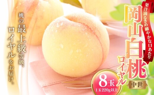 岡山白桃 ( 中世 ) 8玉 ( 1玉220g以上 ) 果汁 糖度 果肉 有袋栽培 くだもの 果物 果実 白桃 もも モモ 桃 国産 岡山県産 フルーツ 【 2026年7月上旬~8月下旬発送予定 】