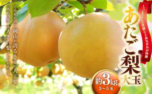 あたご梨 約3kg ( 3~5玉 ) 梨 贈答 くだもの 果物 果実 フルーツ なし ナシ あたご 贈答品 冬 大玉梨 完熟 【 2026年11月下旬~12月下旬発送予定 】