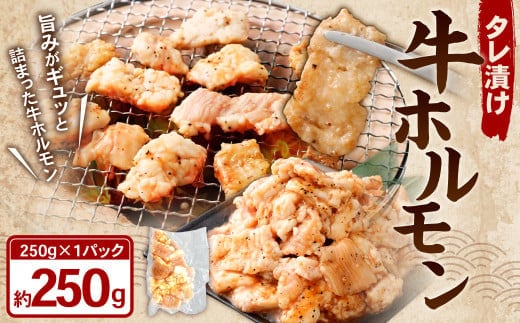 タレ漬け 牛ホルモン 計250g 牛肉 牛 ホルモン お肉 肉 たれ漬け 焼き肉 焼肉