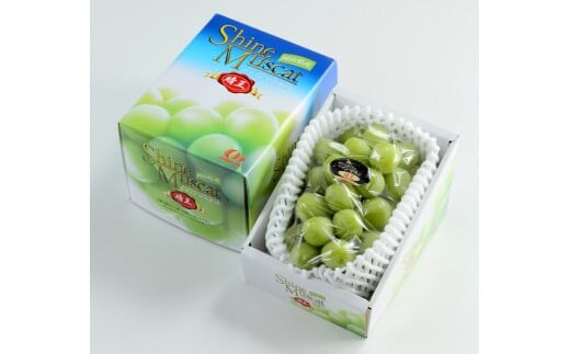 シャインマスカット晴王 約600g×1房 【2026年8月下旬~11月下旬迄発送】 岡山 種無し 種なし マスカット 果物 くだもの フルーツ ぶどう ブドウ 葡萄 冷蔵